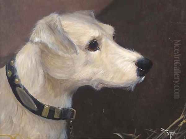 The head of a terrier 2 - view 1