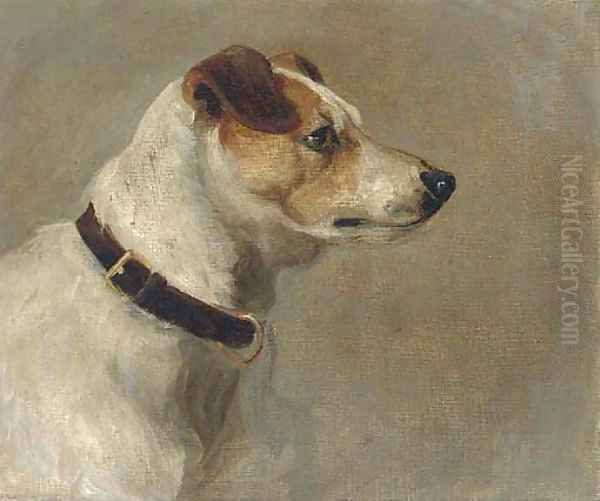 The head of terrier 2 - view 1
