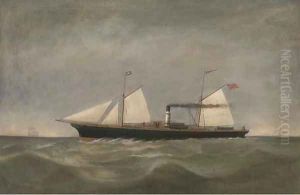 The steamer Eagle under sail and steam by English School