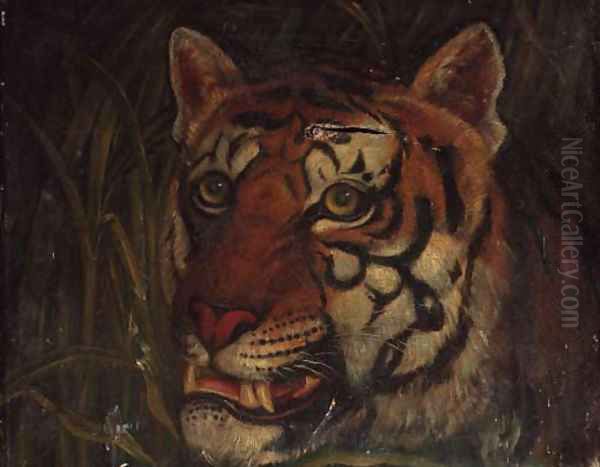 Tiger 2 - view 1