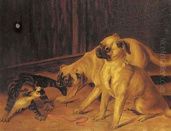 Up to mischief, two pugs with a kitten - view 1