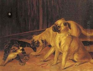 Up to mischief, two pugs with a kitten by English School