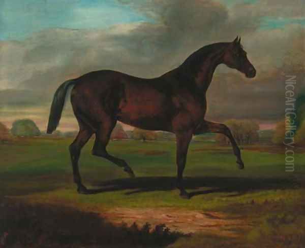 A bay hunter in a landscape - view 1