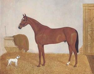A chesnut horse in a stable by English School