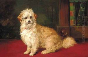 A dandie dinmont in an interior