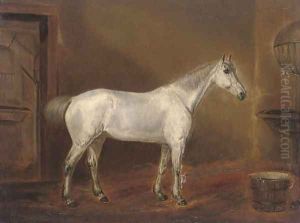 A grey hunter in a stable A grey hunter in a stable