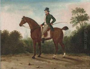 A horse with a gentleman up by English School