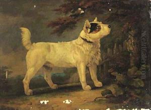 A Jack Russell terrier in a wooded landscape by English School