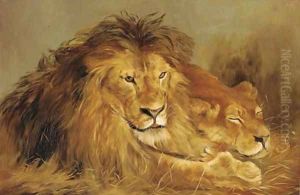 A lion and lioness lying in the grass
