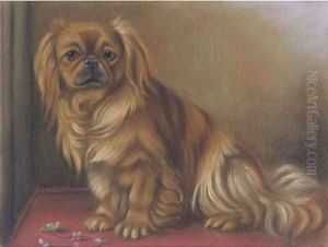 A pekingese on a table by English School