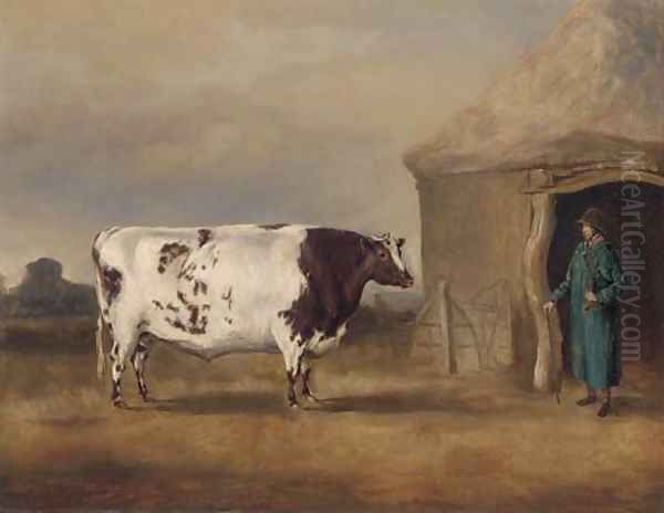 A prize bull before a barn - view 1