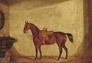 A saddled bay horse in a stable