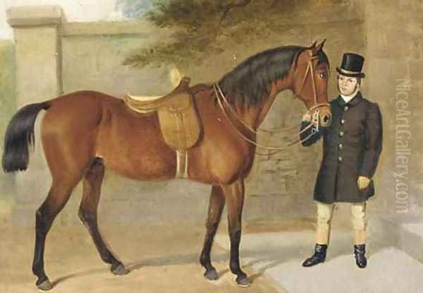 A side saddled hunter held by a groom - view 1