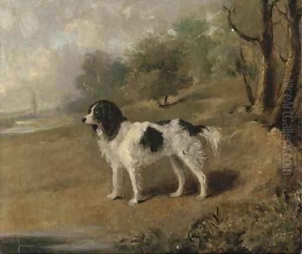 A spaniel in a landscape - view 1