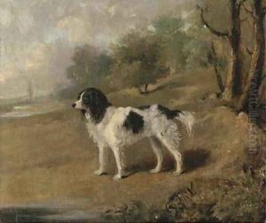 A spaniel in a landscape by English School