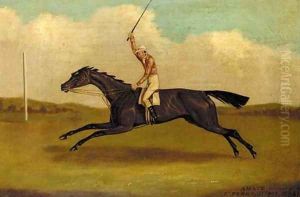 Amato winning the Derby by English School