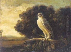 An eagle surveying its territory by English School