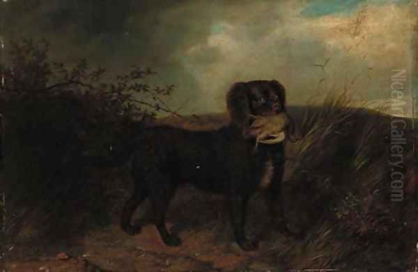 An Irish water spaniel with a partridge - view 1