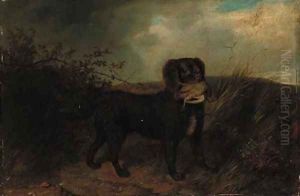 An Irish water spaniel with a partridge