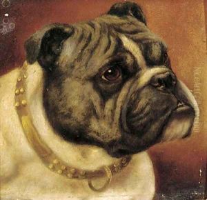Barney, a bulldog