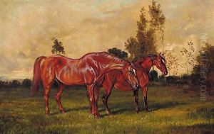 Brood mares in a field