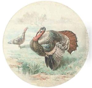 Courting turkeys by English School