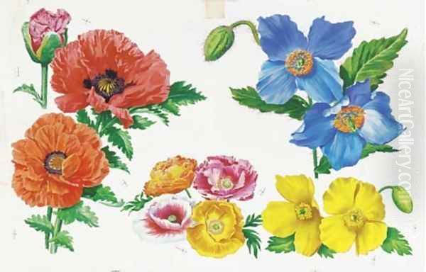 Flowers 3 - view 1