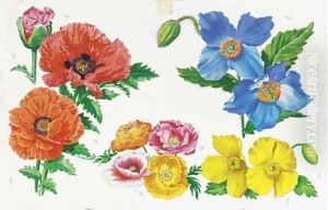 Flowers 3 by English School