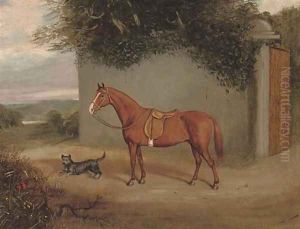 Ready for a country ride by English School