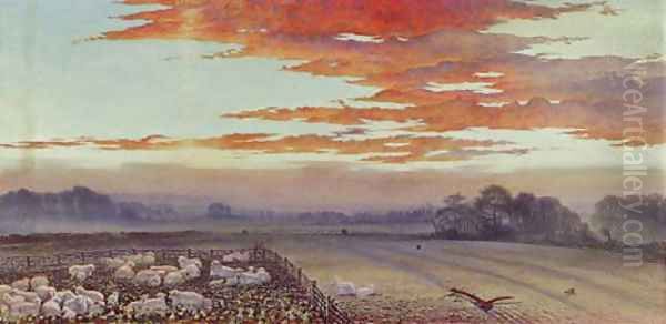 Sunset an extensive landscape with sheep in a pen, a wood beyond - view 1
