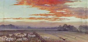 Sunset an extensive landscape with sheep in a pen, a wood beyond by English School