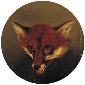 The head of a fox
