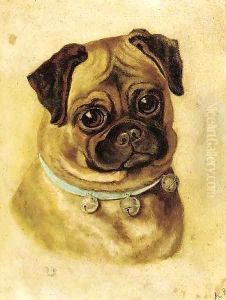 The head of a pug