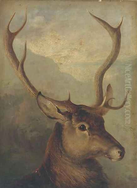 The head of a stag - view 1