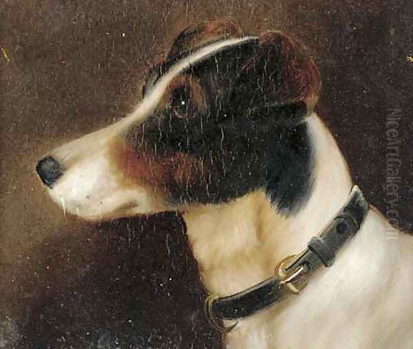 The head of a terrier - view 1