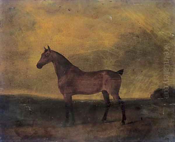 A bay hunter in a landscape 2 - view 1