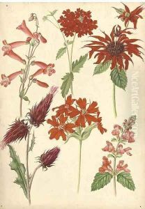 Flowers 2 by English School