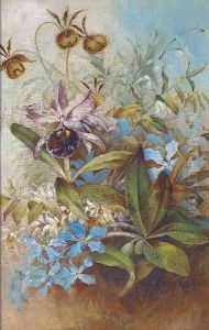 Wild orchids by English School
