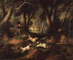 Woodcock shooting