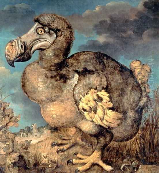 The Dodo, 1651 - view 1