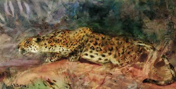 Stalking Leopard - view 1