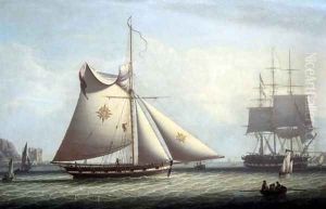 A Maltese Cutter, c.1780 by R. Saloman