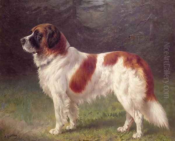 St. Bernard - view 1