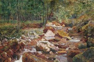 A Rocky Stream Overhung with Trees by John G. Sowerby