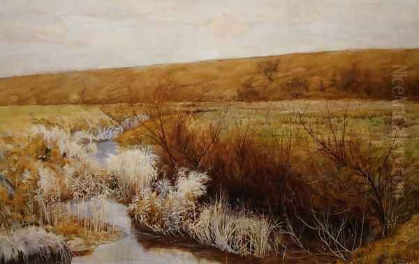 A Meadow in Winter - view 1