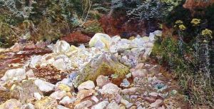 A Rocky Stream by John G. Sowerby