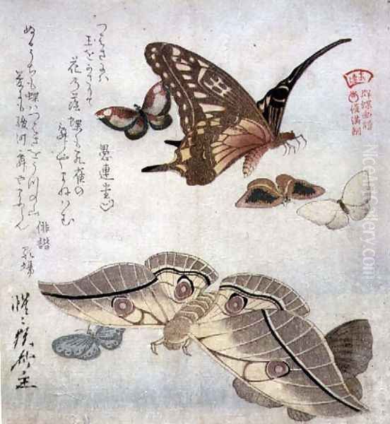 Tsubasa ni wa... first line of poem from the series Illustrated Collection of Butterflies, c.1804-18 - view 1