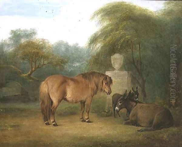 Pony and Donkeys in a Glade - view 1