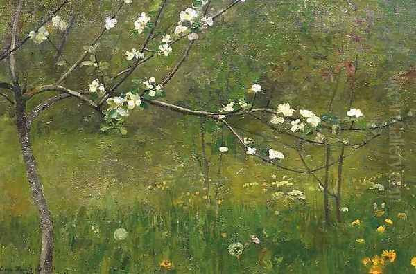 Blooming Apple-Tree - view 1