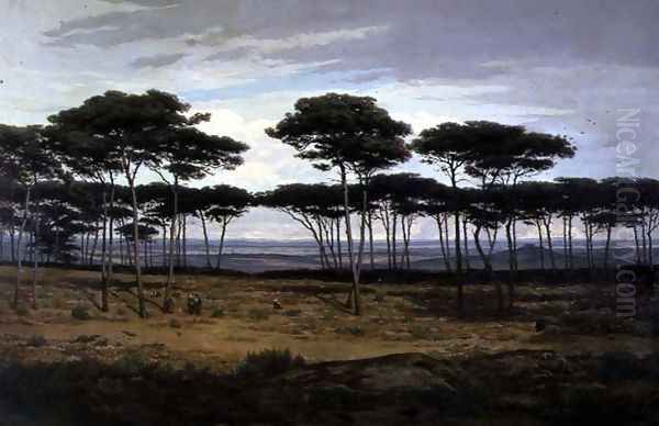 The Pines of Pledeliac - view 1